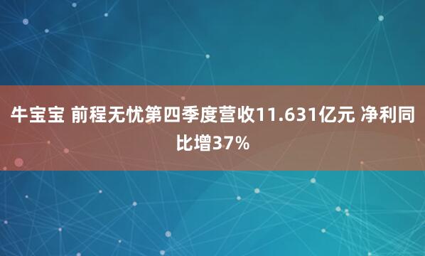 牛宝宝 前程无忧第四季度营收11.631亿元 净利同比增37%