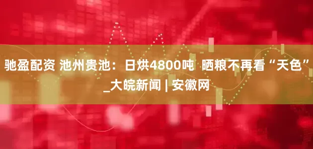 驰盈配资 池州贵池：日烘4800吨  晒粮不再看“天色”_大皖新闻 | 安徽网