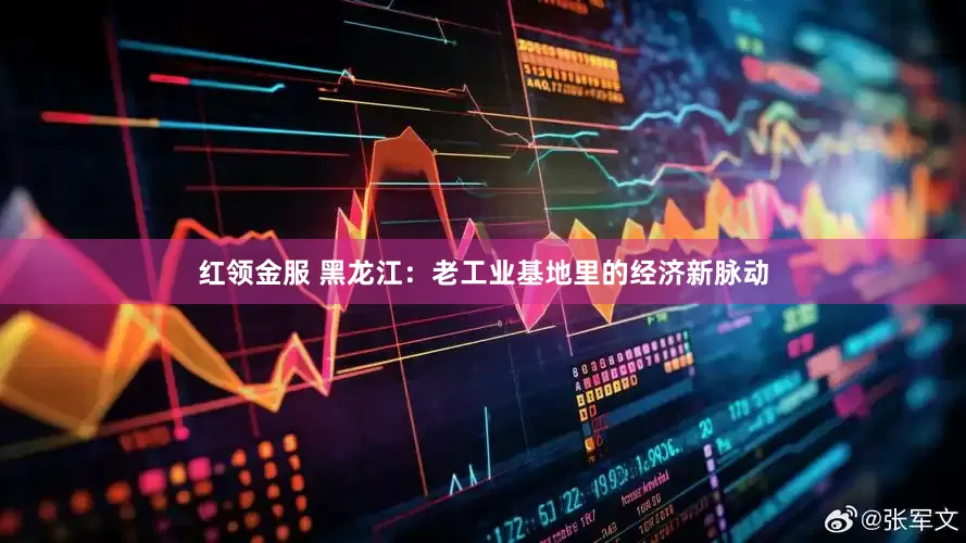 红领金服 黑龙江：老工业基地里的经济新脉动