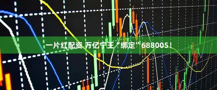 一片红配资 万亿宁王“绑定”688005！