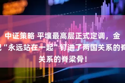 中证策略 平壤最高层正式定调，金正恩把“永远站在一起”钉进了两国关系的脊梁骨！